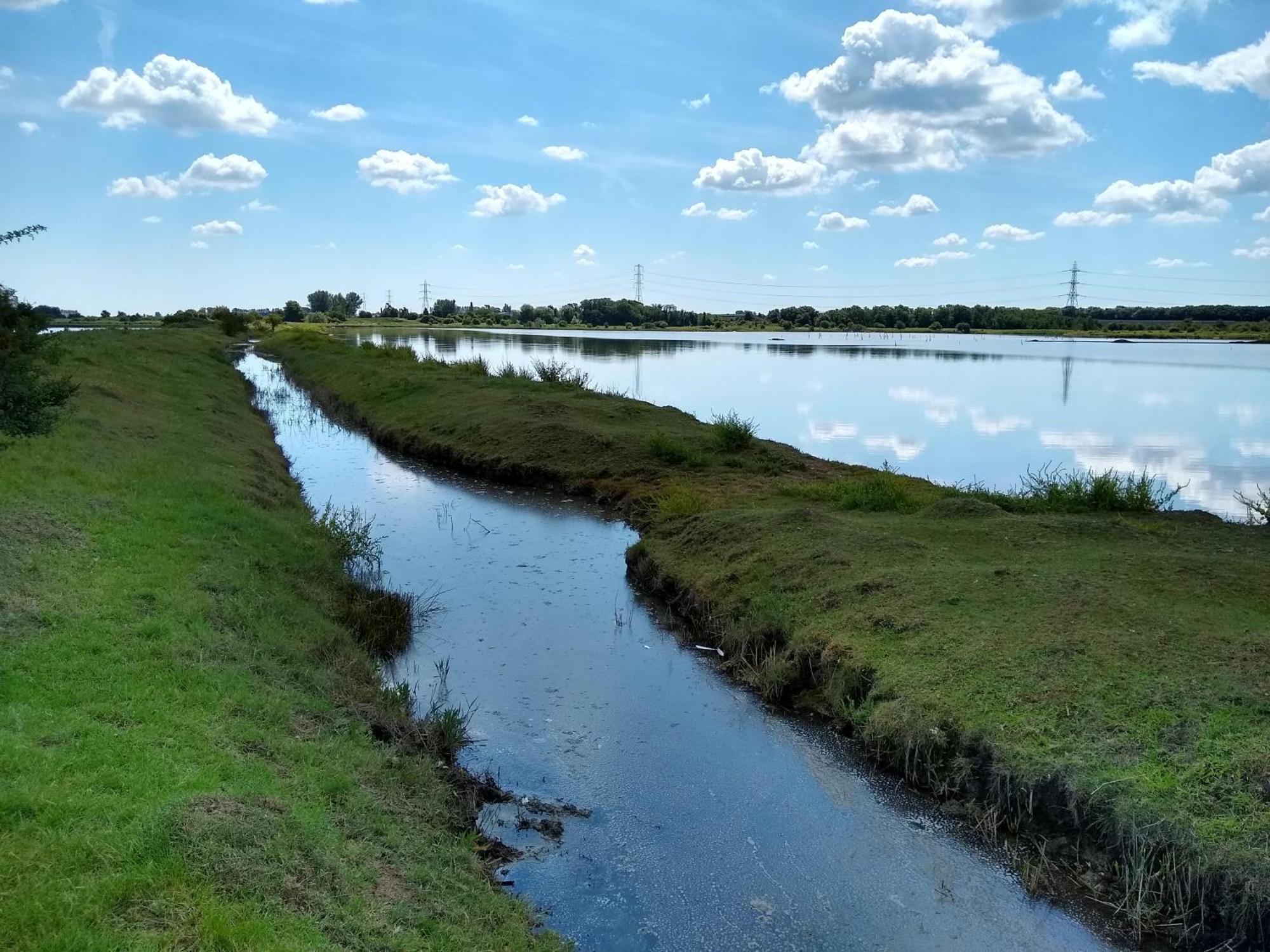 锡廷伯恩Watercress Barns公寓 外观 照片